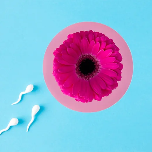 İnfertilite ve Sterilite Arasındaki Fark